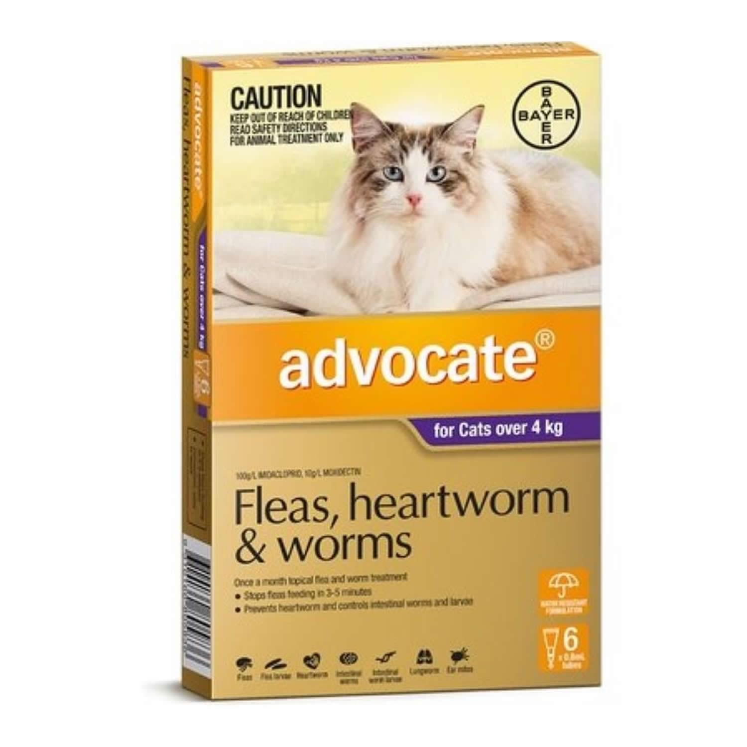 Advocate Cat Flea Treatment Nz at Carlos Musgrave blog